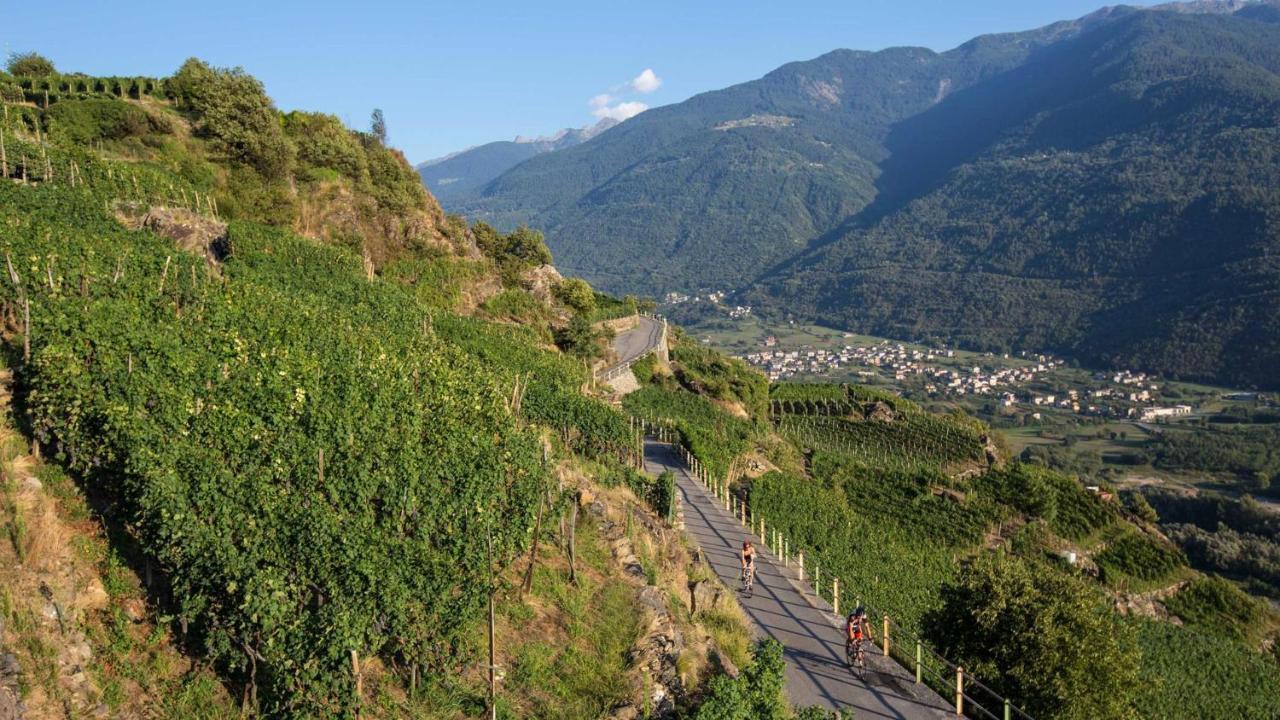 Agriturismo Terra Del Sole Albosaggia Dış mekan fotoğraf